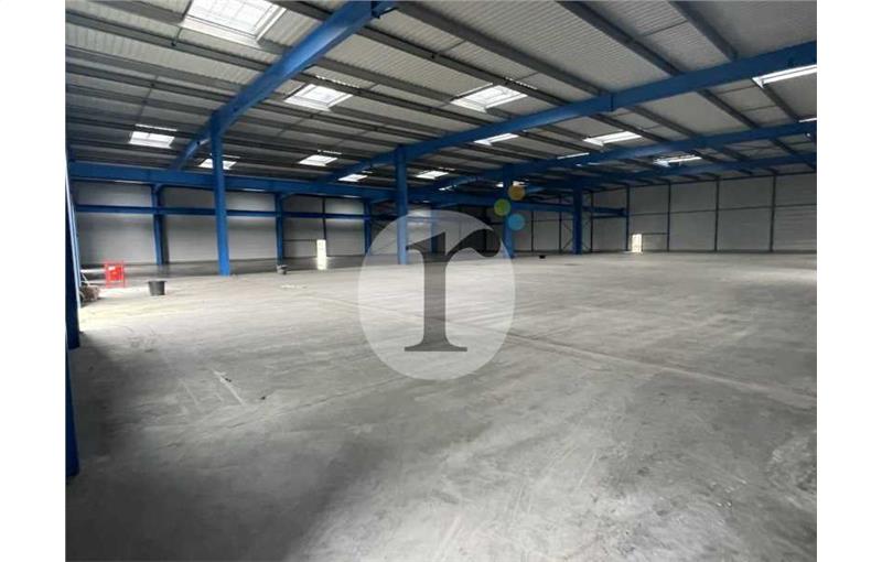 Location d'entrepôt de 3 000 m² à Pecquencourt - 59146 photo - 1