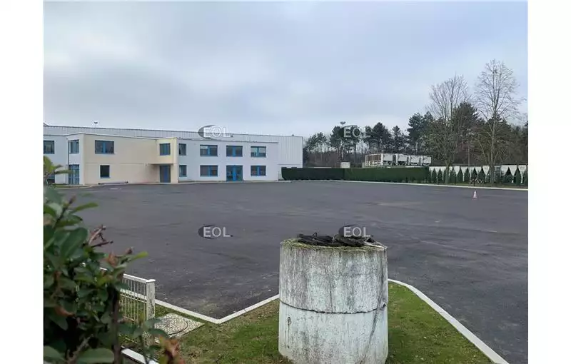 Location d'entrepôt de 1000 m² à Ris-Orangis - 91130