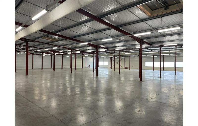 Location d'entrepôt de 3 280 m² à Saint-Médard-d'Eyrans - 33650 photo - 1