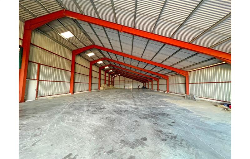 Location d'entrepôt de 1 200 m² à Ségreville - 31460 photo - 1