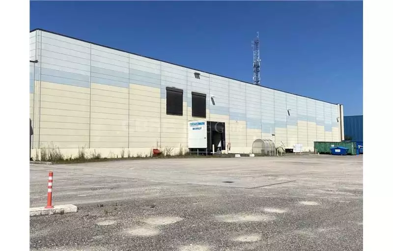 Location d'entrepôt de 2949 m² à Sélestat - 67600