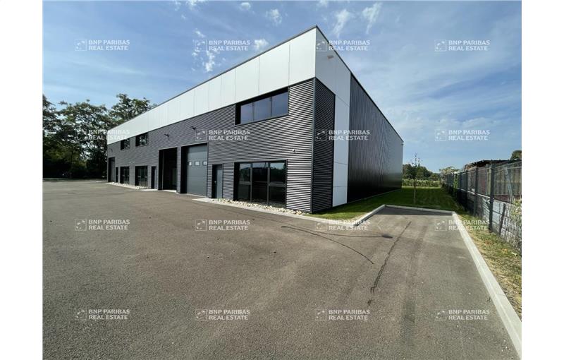 Location d'entrepôt de 779 m² à Souffelweyersheim - 67460 photo - 1