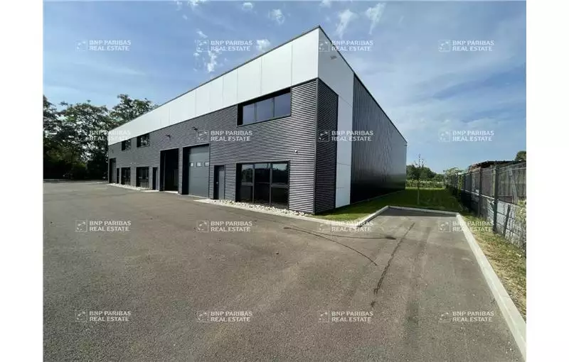 Location d'entrepôt de 388 m² à Souffelweyersheim - 67460