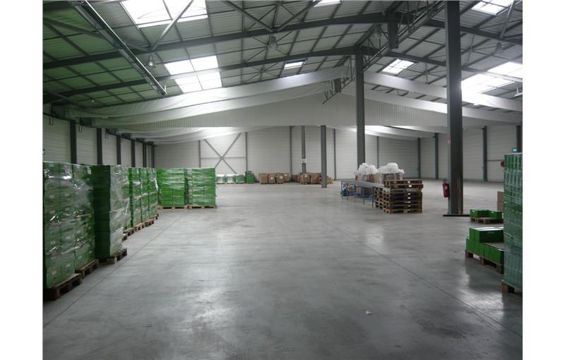 Location d'entrepôt de 3 081 m² à Strasbourg - 67000 photo - 1