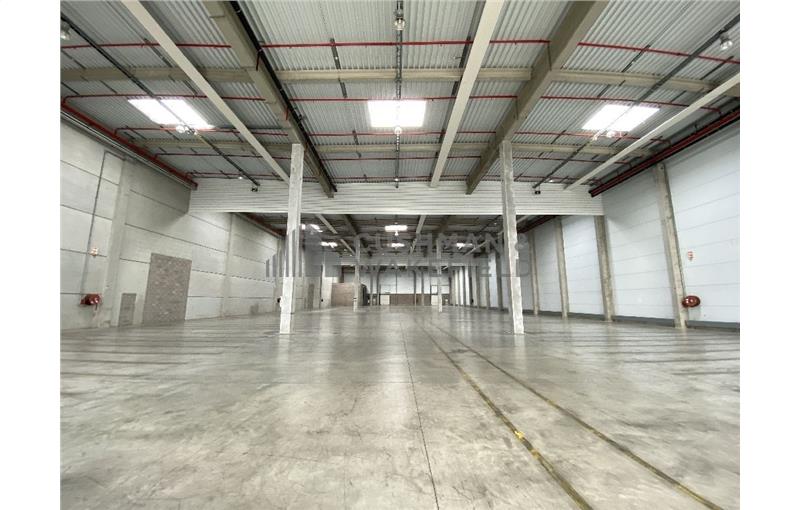 Location d'entrepôt de 3 665 m² à Strasbourg - 67000 photo - 1