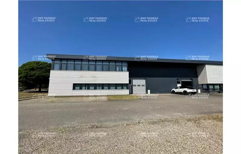 Bureau à vendre de 542 m² à Geispolsheim - 67118