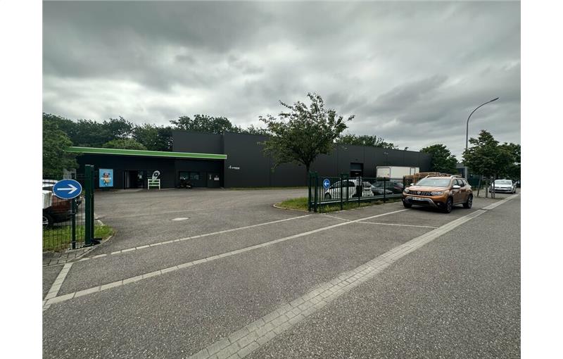 Achat d'entrepôt de 1 170 m² à Geudertheim - 67170 photo - 1