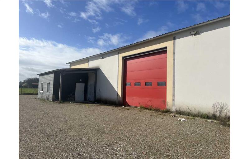 Entrepôt à vendre de 1 026 m² à Loupiac-de-la-Réole - 33190 photo - 1
