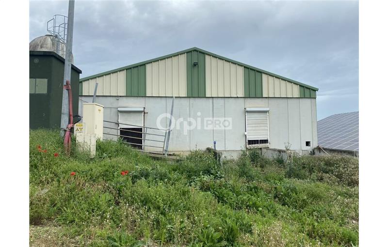 Vente d'entrepôt de 1 500 m² à Réalville - 82440 photo - 1